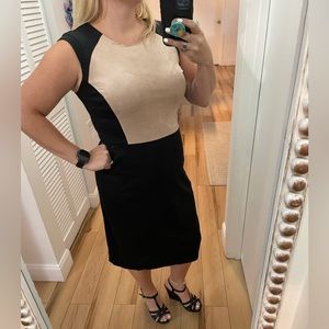 Womens Black Fitted Dress by Enfocus Size 12 🖤